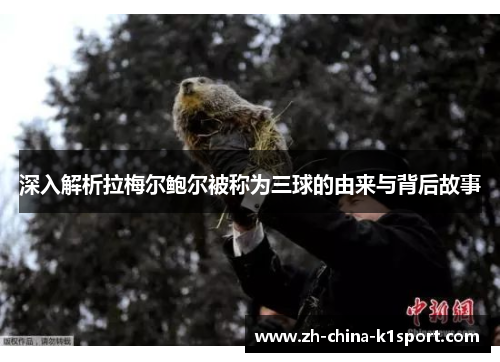 深入解析拉梅尔鲍尔被称为三球的由来与背后故事